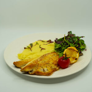 Mediterranean Sea Bass