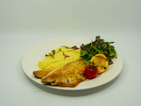 Mediterranean Sea Bass